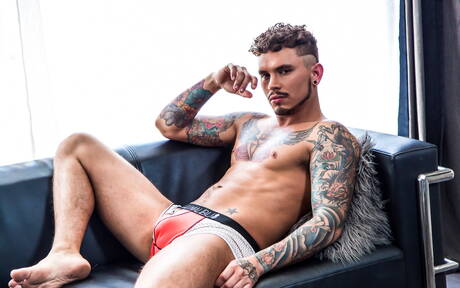 Beefcake Trey Donovan and american husky guy Seth Knight have a hot interracial sex