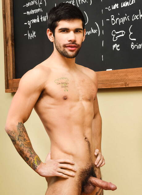 American pornstars stud Brian Michaels and otter Ty Mitchell have a good anal sex