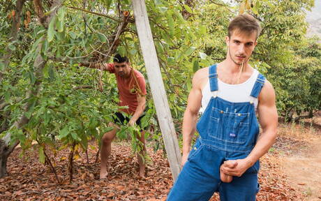 Nice american boys beefcake Ian Greene and hairy stud Donte Thick in hot homosexual action outside