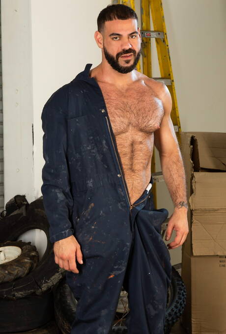 American bear Ricky Larkin and  Liam Knox have a good oral sex outdoor