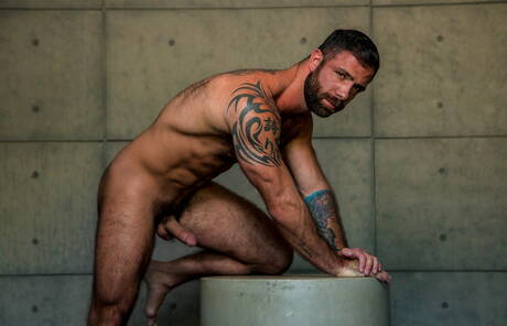 Naked Hairy Gay Pics