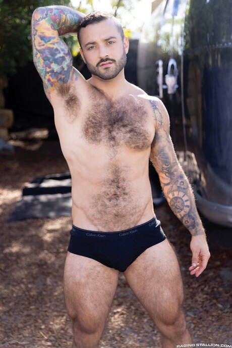 American pornstars muscular Tryp Bates and hairy bear Drew Valentino have anal sex outside